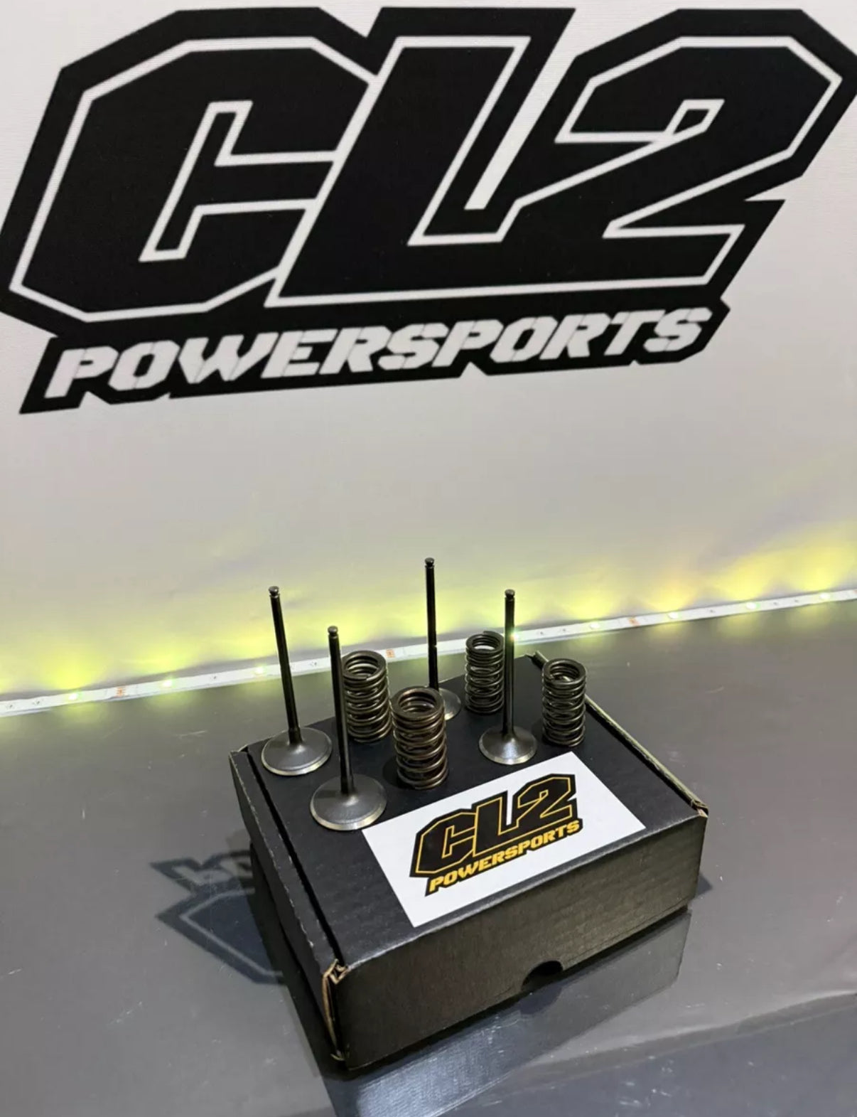 2010-2015 Suzuki RMZ 250 Valves With Springs - Intake & Exhaust