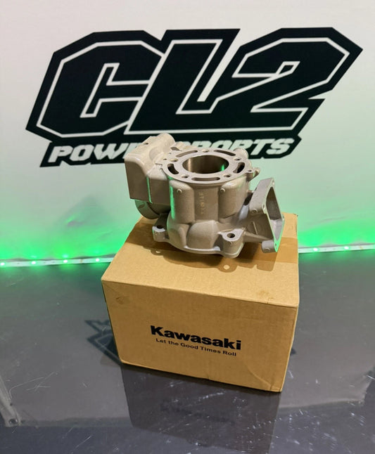 2022-2024 Kawasaki KX 85 KX85 Cylinder New OEM 11005-0748
