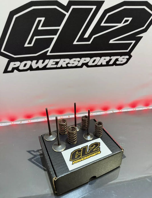 2017-2024 Honda CRF450R CRF450RX CRF450RWE  Valves W/ Springs - Intake & Exhaust